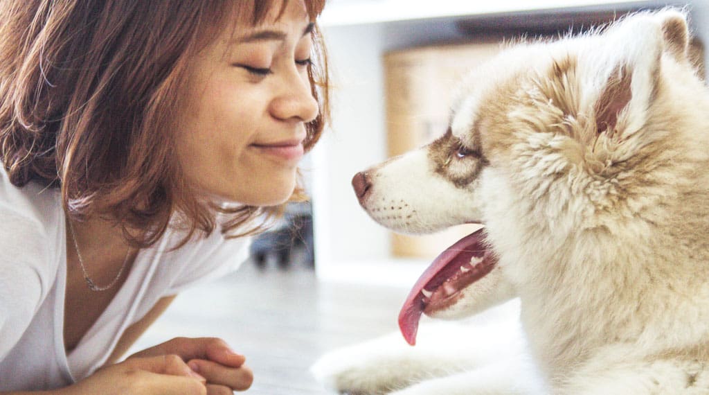 Tips for Smooth & Silky Dog Fur Blog01 Free Img