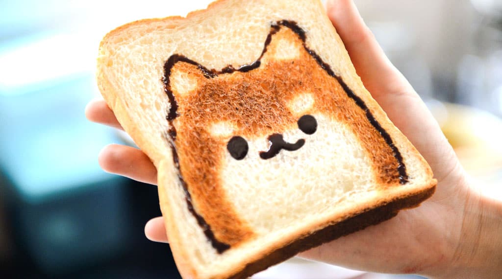 How to Choose Puppy Food? Blog02 Free Img