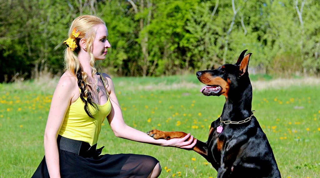 20 Tips for Your Dog Training Blog07 Free Img 1
